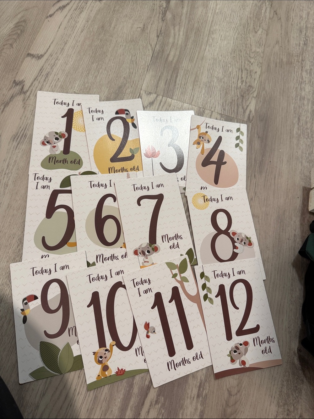 Animal Monthly Milestone Cards- Tiny Love 1-12 months old